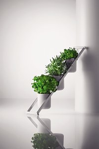 The Novel Herbs Ladder Kitchen Accessory From Menu