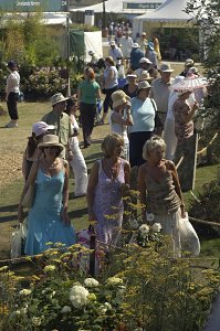 Tickets Now On Sale For The RHS Flower Show 2007