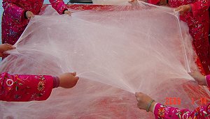  Hand Made Pure Mulberry Silk Filled Duvets 